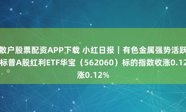 散户股票配资APP下载 小红日报｜有色金属强势活跃，标普A股红利ETF华宝（562060）标的指数收涨0.12%