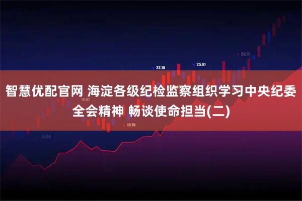 智慧优配官网 海淀各级纪检监察组织学习中央纪委全会精神 畅谈使命担当(二)