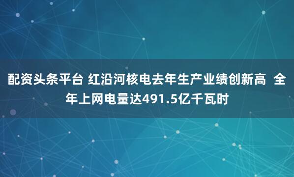 配资头条平台 红沿河核电去年生产业绩创新高  全年上网电量达491.5亿千瓦时