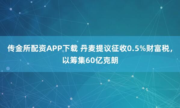 传金所配资APP下载 丹麦提议征收0.5%财富税，以筹集60亿克朗